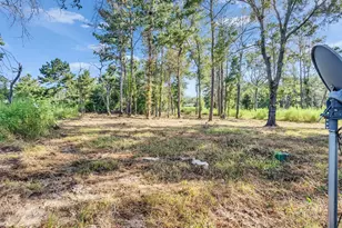 81 Hicks Rd, Cleveland, TX 77328 - Photo 19