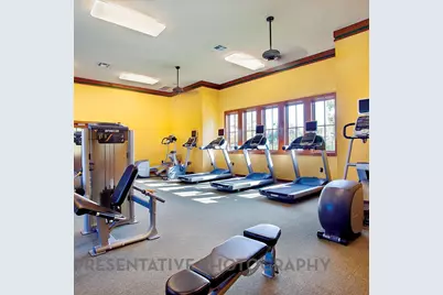 4403 Driftrose Drive, Fulshear, TX 77441 - Photo 23