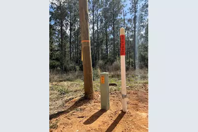 462 Timber Rd, Livingston, TX 77351 - Photo 7