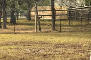 117 Sioux Passage, Somerville, TX 77879 - Photo 21