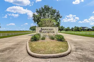7411 Augusta Ln, Rosharon, TX 77583 - Photo 47