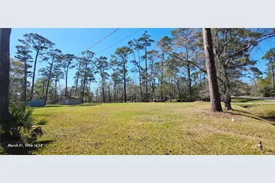 3506 Yupon Street, Dickinson, TX 77539 - Photo 3