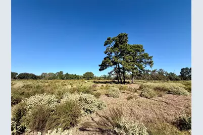 5 Ac Pr 1313, Centerville, TX 75833 - Photo 3