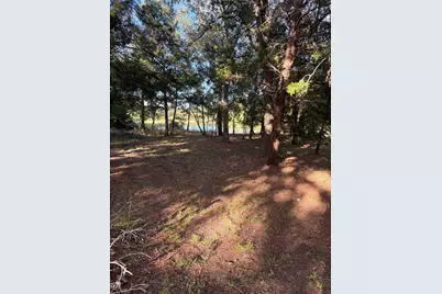 000 Moose Drive, Hempstead, TX 77445 - Photo 9