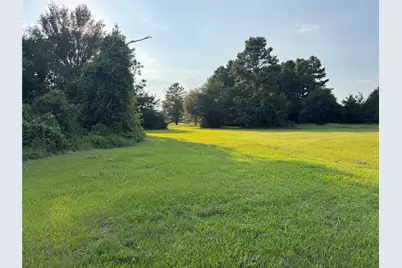 21269 Bracewell Road, Bedias, TX 77831 - Photo 5