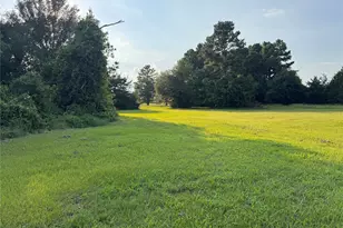 21269 Bracewell Rd, Bedias, TX 77831 - Photo 5