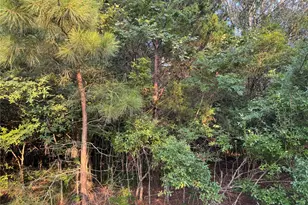 21269 Bracewell Rd, Bedias, TX 77831 - Photo 13