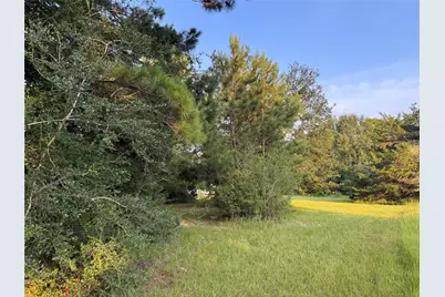 21269 Bracewell Road, Bedias, TX 77831 - Photo 9