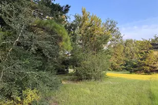 21269 Bracewell Rd, Bedias, TX 77831 - Photo 9