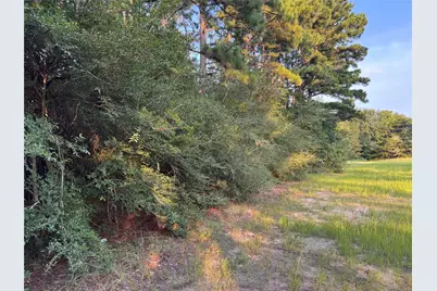 21269 Bracewell Road, Bedias, TX 77831 - Photo 11