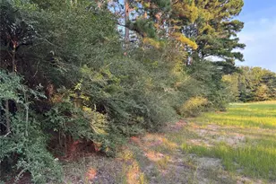 21269 Bracewell Rd, Bedias, TX 77831 - Photo 11