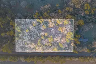 162 Meadow Ln, Livingston, TX 77351 - Photo 1