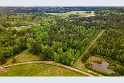 Tbd Shaw Road, Batson, TX 77519 - Photo 9