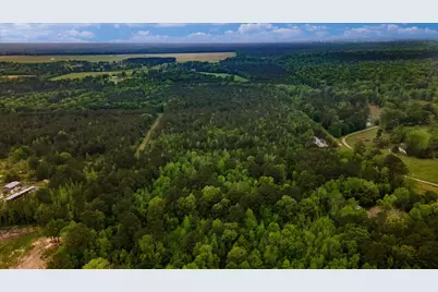 Tbd Shaw Road, Batson, TX 77519 - Photo 29