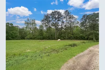 Tbd Shaw Road, Batson, TX 77519 - Photo 3