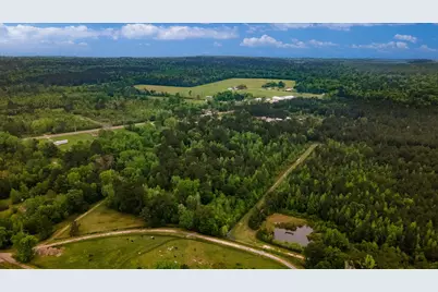 Tbd Shaw Road, Batson, TX 77519 - Photo 23