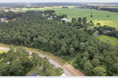 14762 Fm 1774, Plantersville, TX 77363 - Photo 3