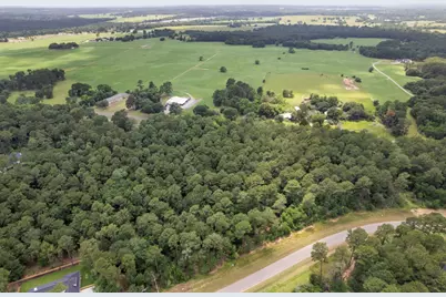 14762 Fm 1774, Plantersville, TX 77363 - Photo 7