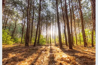 305 Iron Horse Road, Willis, TX 77378 - Photo 11