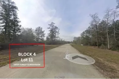 305 Iron Horse Road, Willis, TX 77378 - Photo 1