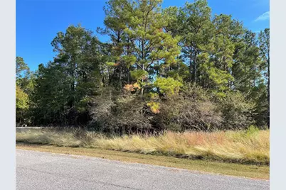 40 Knight Lane Drive, Coldspring, TX 77331 - Photo 3