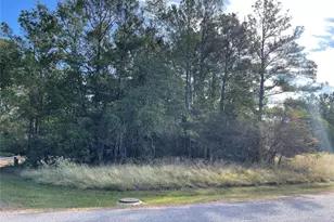 40 Knight Ln Dr, Coldspring, TX 77331 - Photo 1