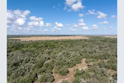 0 County Road 273, Edna, TX 77957 - Photo 7