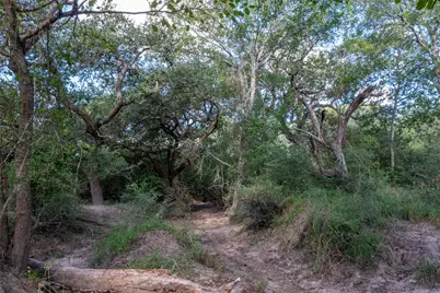 0 County Road 273, Edna, TX 77957 - Photo 19