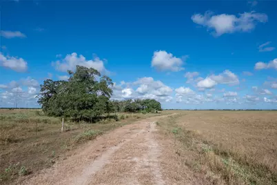 0 County Road 273, Edna, TX 77957 - Photo 11