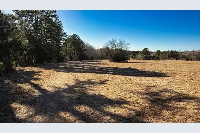 Tbd #6 County Road 477, Henderson, TX 75654 - Photo 11