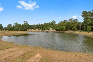 1250 S Pine Lake Rd, Montgomery, TX 77316 - Photo 45