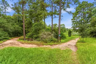 27730 Geneva Hills Ln, Spring, TX 77386 - Photo 43