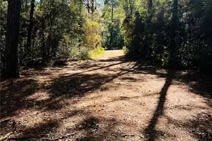 24638 Shady Oaks Blvd, Montgomery, TX 77316 - Photo 35