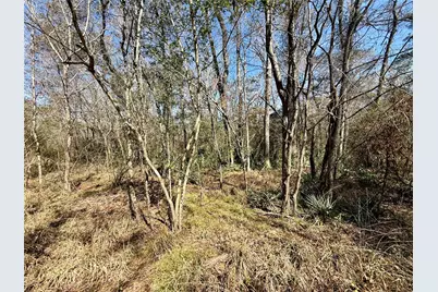 0 Redbud Drive, Conroe, TX 77302 - Photo 1