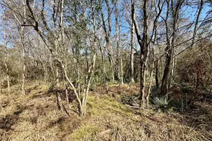 0 Redbud Dr, Conroe, TX 77302 - Photo 1