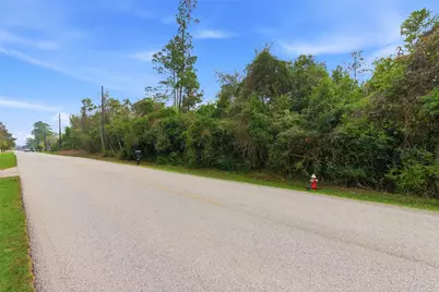 1603 Baker Drive, Tomball, TX 77375 - Photo 29