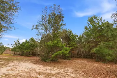 1603 Baker Drive, Tomball, TX 77375 - Photo 25