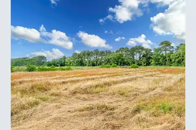 15869 Brush Island Road, Winnie, TX 77622 - Photo 29