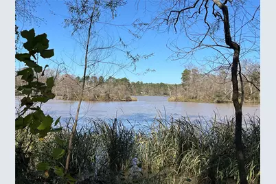 25810 Lakewater Drive, Huffman, TX 77336 - Photo 5