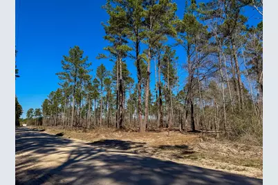 2 Boontown Road, Trinity, TX 75845 - Photo 11