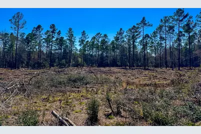 2 Boontown Road, Trinity, TX 75845 - Photo 5