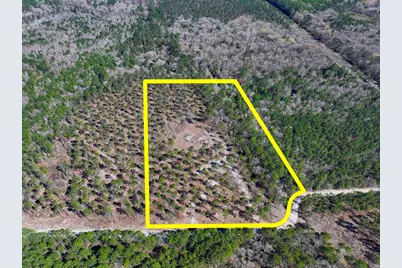 2 Boontown Road, Trinity, TX 75845 - Photo 1