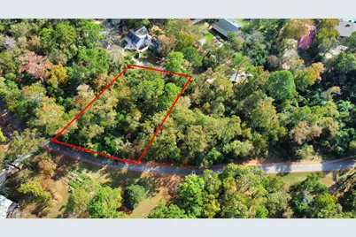 Lot 36 Loper Lake Drive, Livingston, TX 77351 - Photo 5