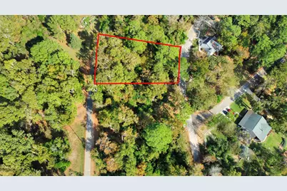 Lot 36 Loper Lake Drive, Livingston, TX 77351 - Photo 3