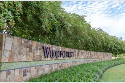 120 West Coralburst Loop, Montgomery, TX 77316 - Photo 33