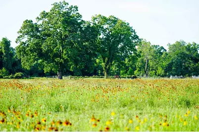 1458 Fm-1458, Pattison, TX 77423 - Photo 5