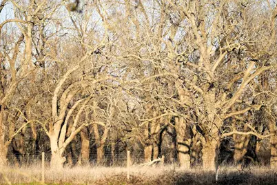 1458 Fm-1458, Pattison, TX 77423 - Photo 17