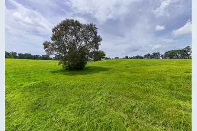 00 County Rd 2780, Colmesneil, TX 75938 - Photo 23