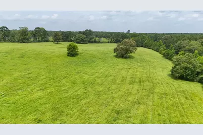 00 County Rd 2780, Colmesneil, TX 75938 - Photo 11