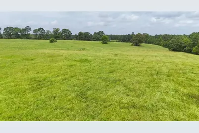 00 County Rd 2780, Colmesneil, TX 75938 - Photo 7